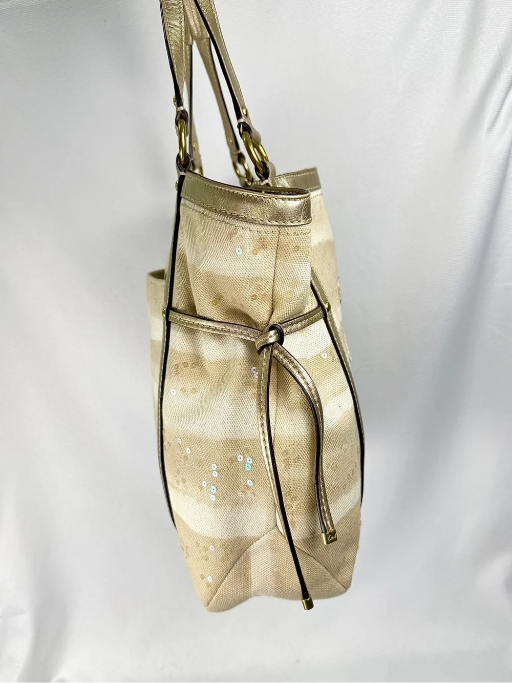 Coach Audrey Sun Limited Edition Shoulder Bag (19577)